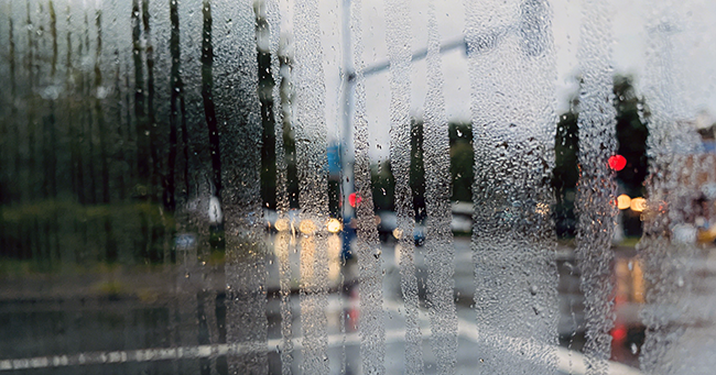 生成抠图图片 (4).png