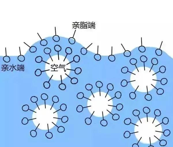 泡沫和毛发关系.jpeg